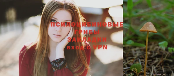стаф Зеленодольск