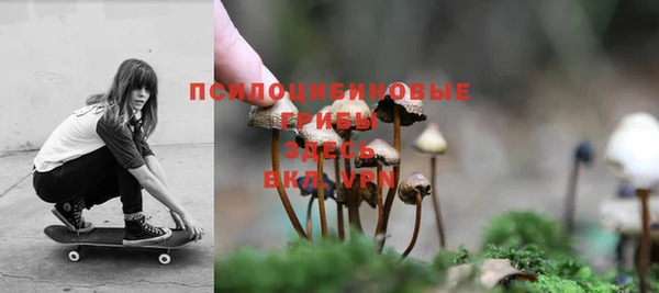 стаф Зеленодольск