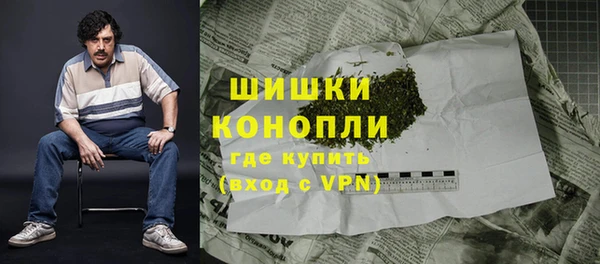 молекула духа Зеленокумск