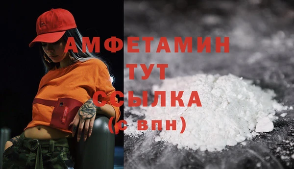 молекула духа Зеленокумск