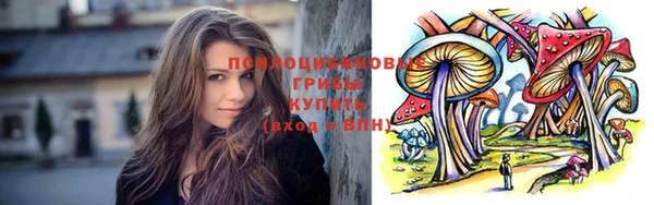 молекула духа Зеленокумск