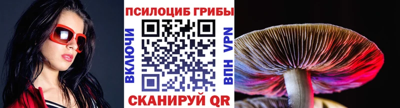 Галлюциногенные грибы Cubensis Купить где Кимовск